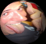 Todd